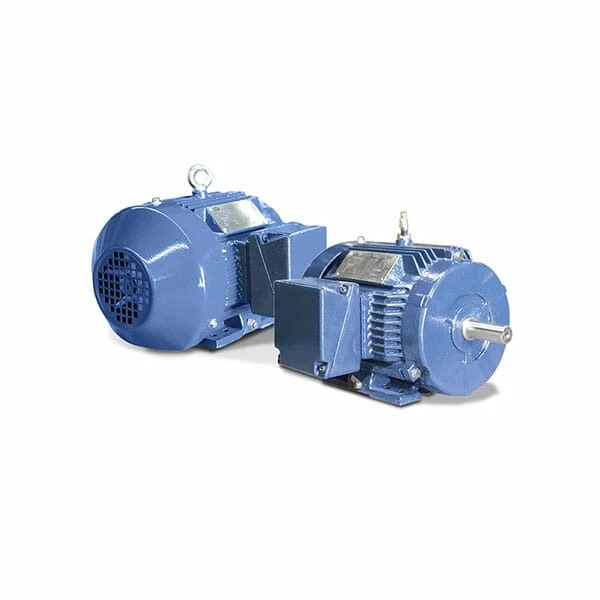 T-Frame Horizontal Electric Motor