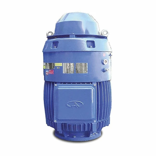 VHS Electric Motor TEFC